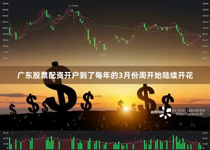 广东股票配资开户到了每年的3月份周开始陆续开花